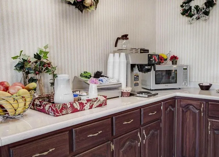 Motel: Econo Lodge Van Horn